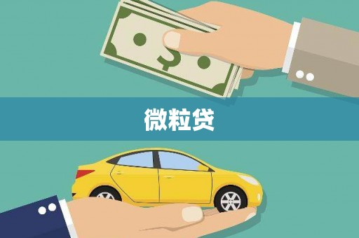 盐湖微粒贷