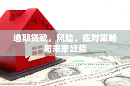 盐湖逾期贷款，风险、应对策略与未来趋势