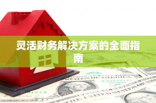 盐湖灵活财务解决方案的全面指南