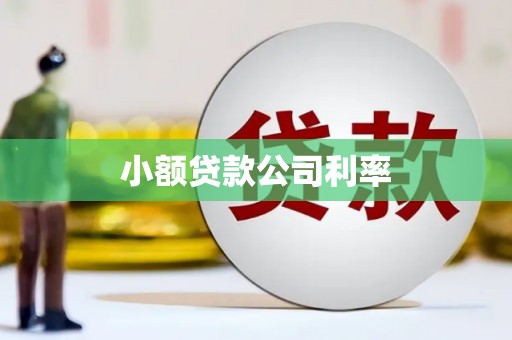 盐湖小额贷款公司利率