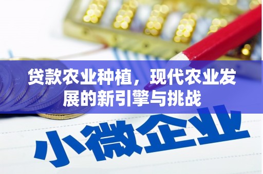 盐湖贷款农业种植，现代农业发展的新引擎与挑战