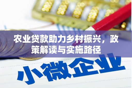 盐湖农业贷款助力乡村振兴，政策解读与实施路径