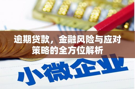 盐湖逾期贷款，金融风险与应对策略的全方位解析