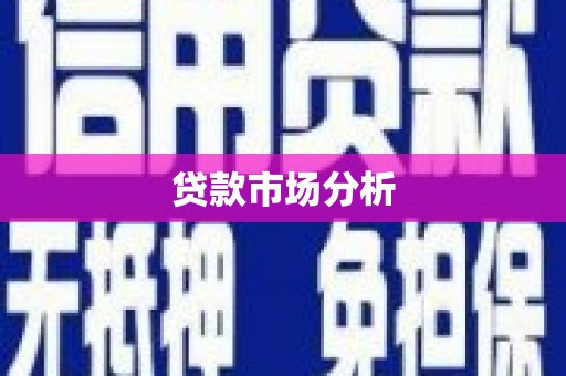 盐湖贷款市场分析