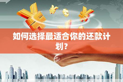 盐湖如何选择最适合你的还款计划？