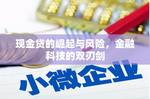 盐湖现金贷的崛起与风险，金融科技的双刃剑