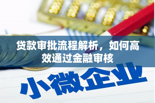 盐湖贷款审批流程解析，如何高效通过金融审核