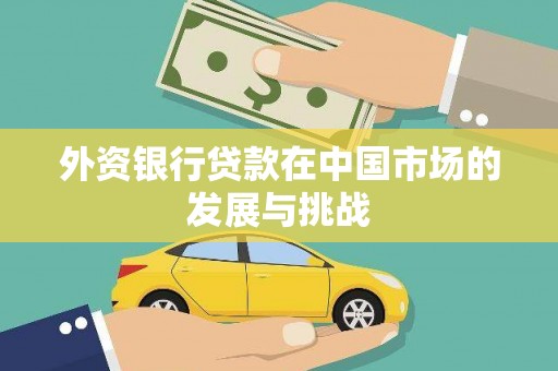 盐湖外资银行贷款在中国市场的发展与挑战