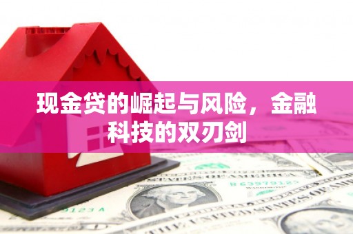 盐湖现金贷的崛起与风险，金融科技的双刃剑