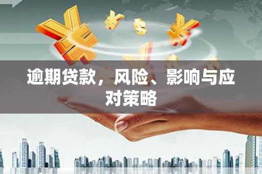 盐湖逾期贷款，风险、影响与应对策略