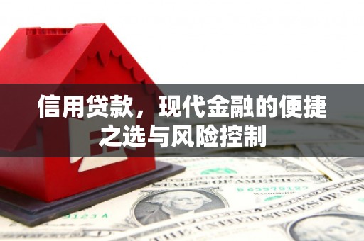 盐湖信用贷款，现代金融的便捷之选与风险控制