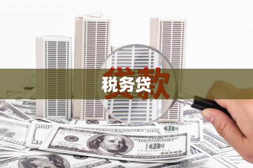 盐湖税务贷