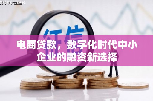 盐湖电商贷款，数字化时代中小企业的融资新选择