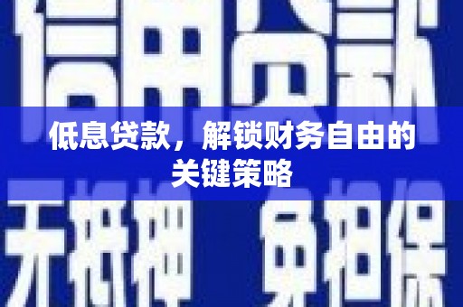 盐湖低息贷款，解锁财务自由的关键策略