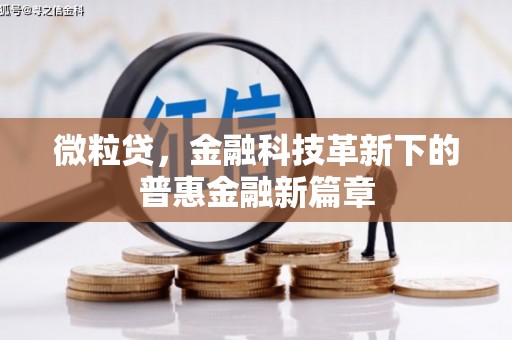 盐湖微粒贷，金融科技革新下的普惠金融新篇章