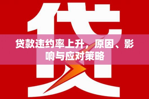 盐湖贷款违约率上升，原因、影响与应对策略