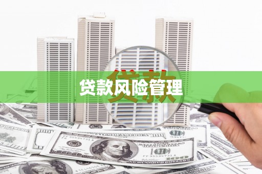 盐湖贷款风险管理