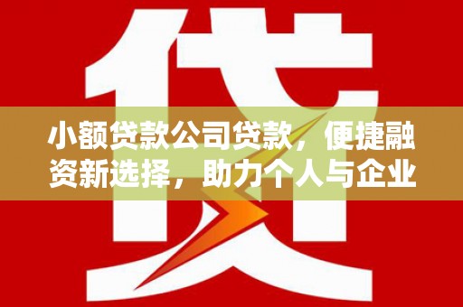 盐湖小额贷款公司贷款，便捷融资新选择，助力个人与企业成长