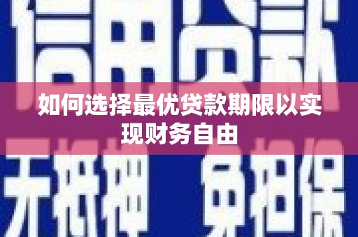 盐湖如何选择最优贷款期限以实现财务自由