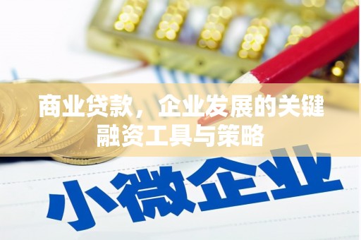盐湖商业贷款，企业发展的关键融资工具与策略