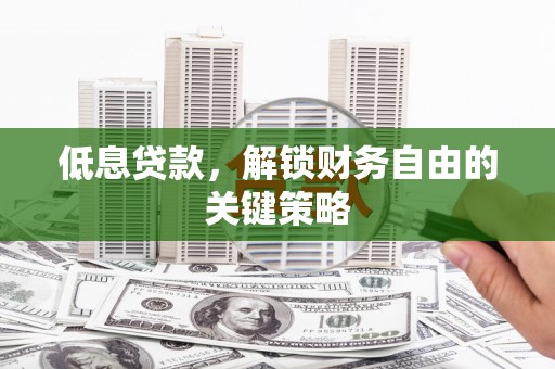 盐湖低息贷款，解锁财务自由的关键策略