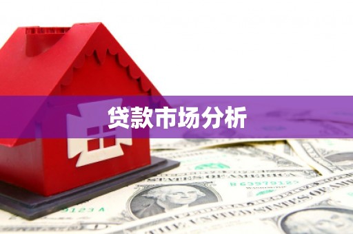 盐湖贷款市场分析