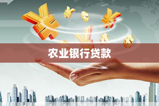 盐湖农业银行贷款