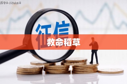 盐湖救命稻草