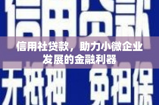 盐湖信用社贷款，助力小微企业发展的金融利器