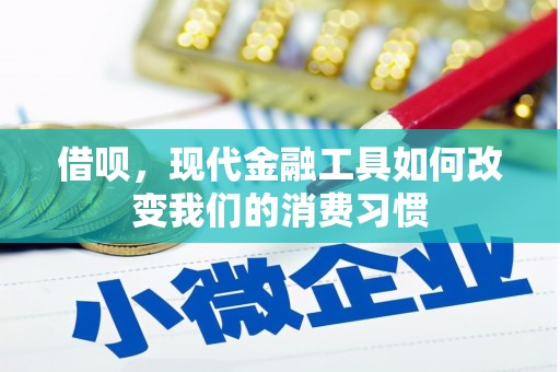 盐湖借呗，现代金融工具如何改变我们的消费习惯
