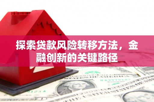 盐湖探索贷款风险转移方法，金融创新的关键路径