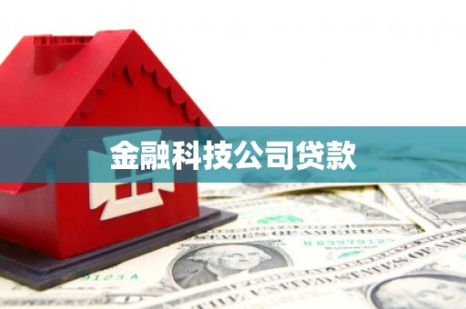 盐湖金融科技公司贷款