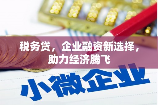 盐湖税务贷，企业融资新选择，助力经济腾飞