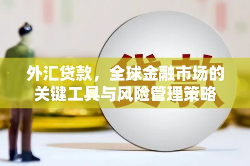 盐湖外汇贷款，全球金融市场的关键工具与风险管理策略