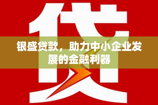 盐湖银盛贷款，助力中小企业发展的金融利器