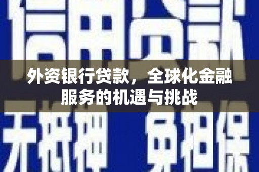 盐湖外资银行贷款，全球化金融服务的机遇与挑战
