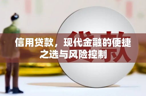 盐湖信用贷款，现代金融的便捷之选与风险控制