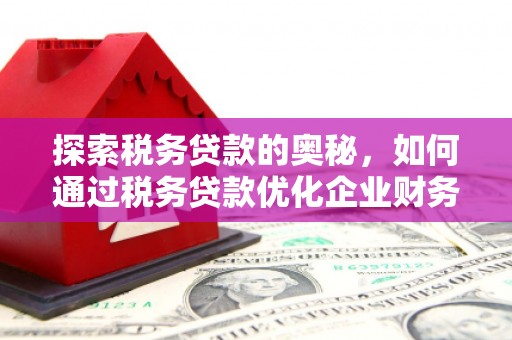 盐湖探索税务贷款的奥秘，如何通过税务贷款优化企业财务