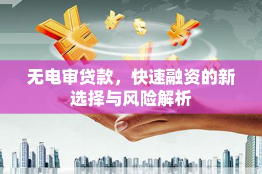 盐湖无电审贷款，快速融资的新选择与风险解析