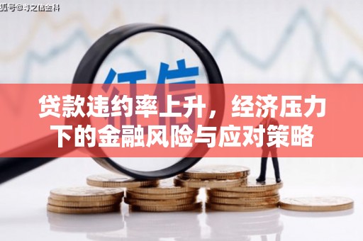 盐湖贷款违约率上升，经济压力下的金融风险与应对策略
