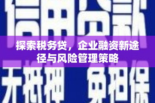 盐湖探索税务贷，企业融资新途径与风险管理策略