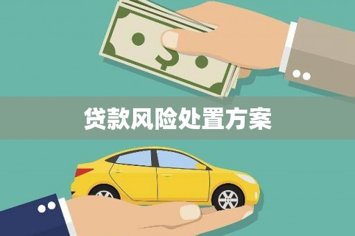 盐湖贷款风险处置方案