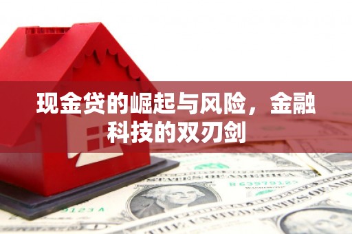 盐湖现金贷的崛起与风险，金融科技的双刃剑