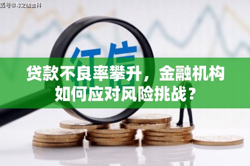 盐湖贷款不良率攀升，金融机构如何应对风险挑战？