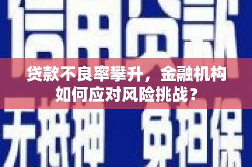 盐湖贷款不良率攀升，金融机构如何应对风险挑战？