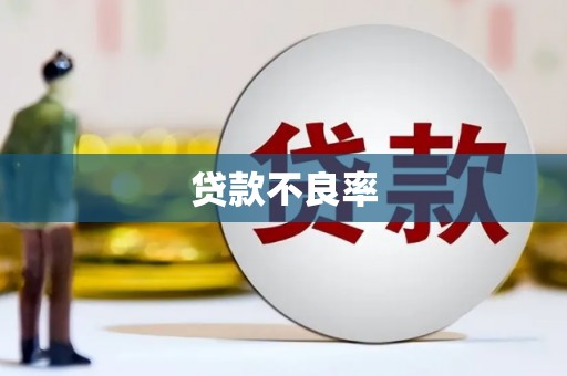 盐湖贷款不良率