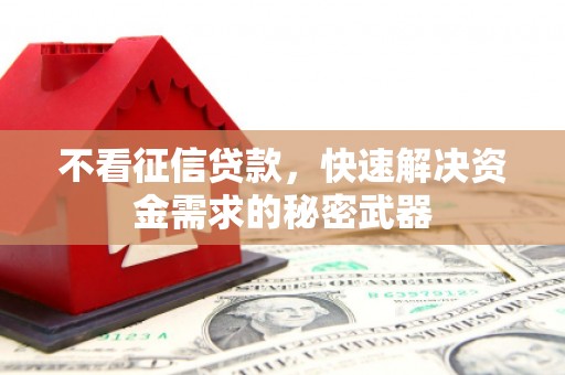 盐湖不看征信贷款，快速解决资金需求的秘密武器