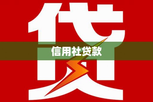 盐湖信用社贷款
