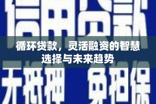 盐湖循环贷款，灵活融资的智慧选择与未来趋势