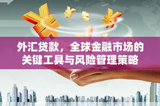 盐湖外汇贷款，全球金融市场的关键工具与风险管理策略